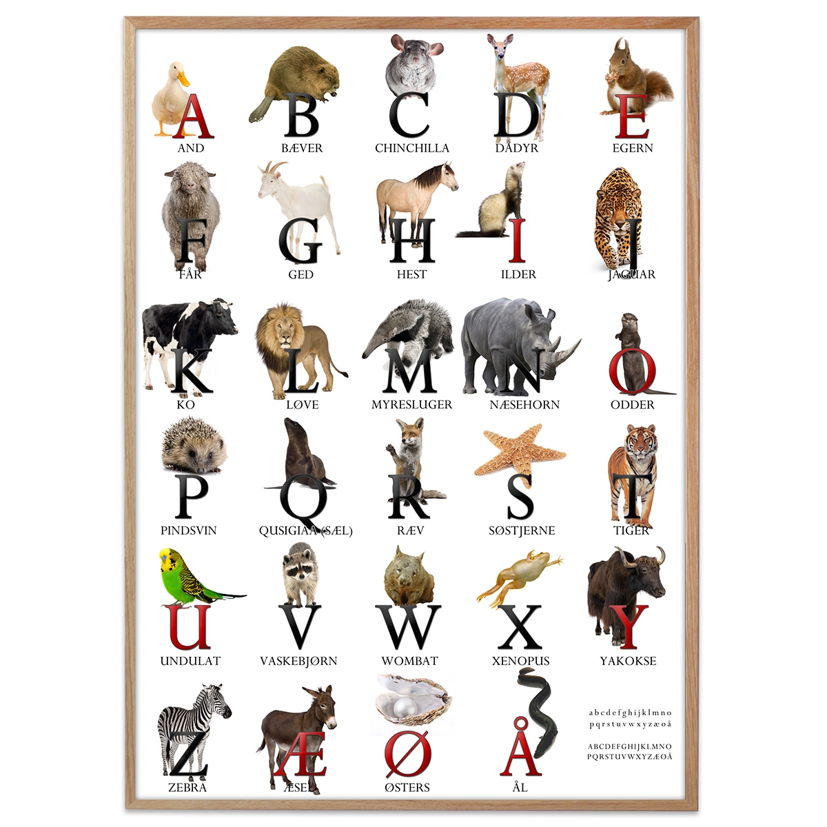 Plakat - ABC plakat med dyr