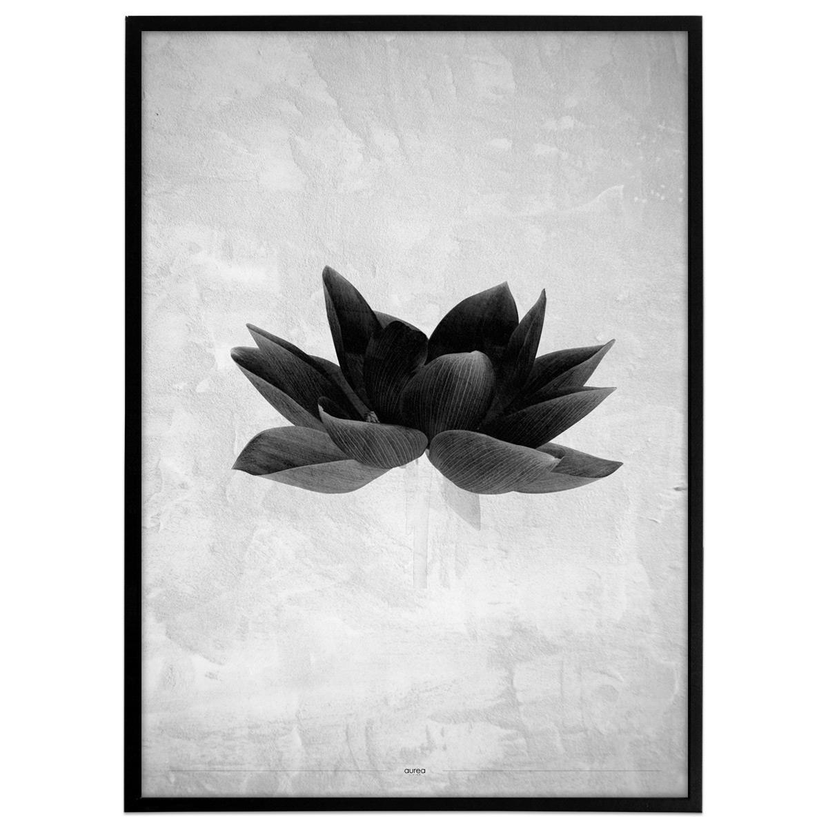 Plakat - Greyish flower