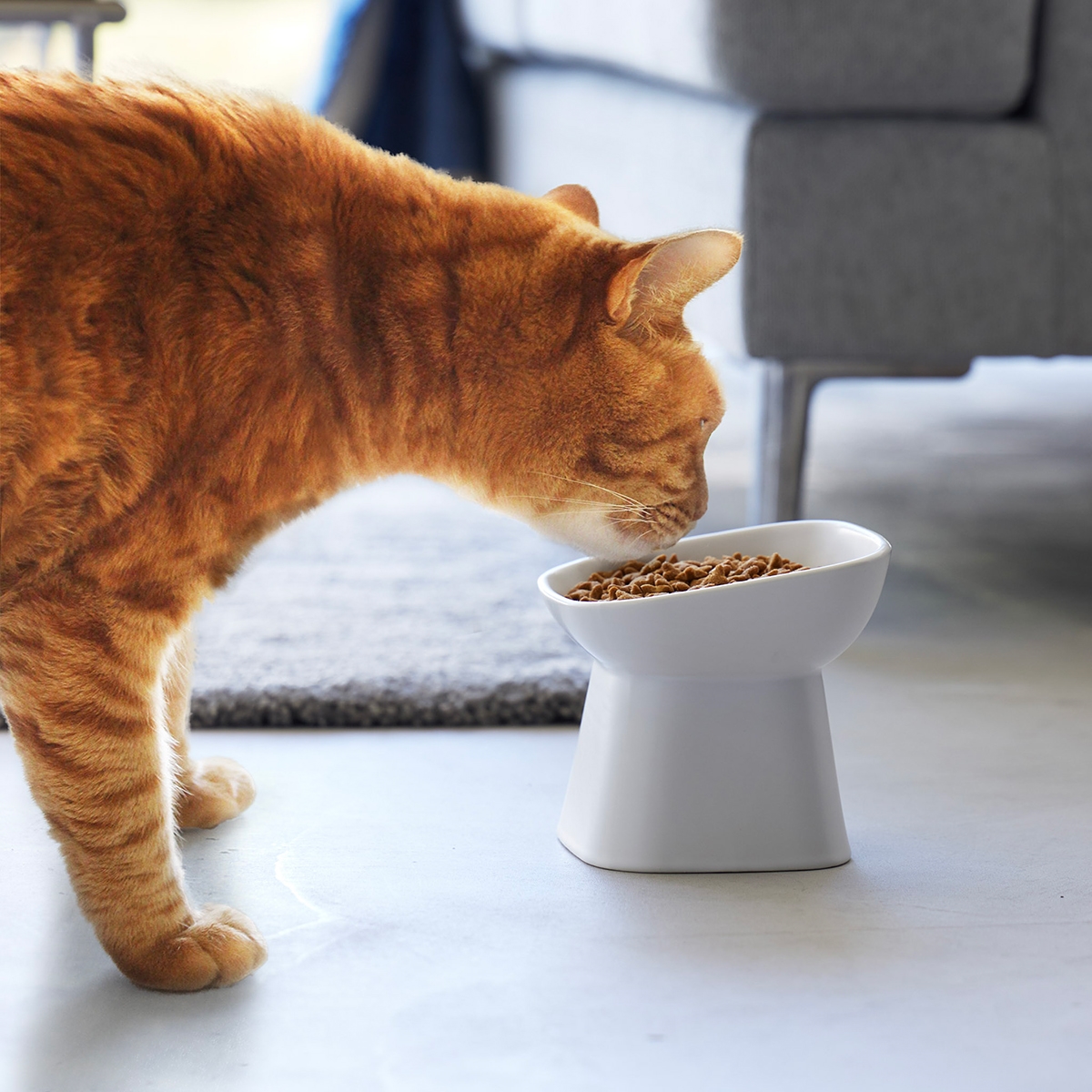 Yamazaki "Easy Eat" keramik foderskål til katte - Hvid
